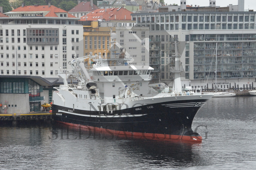 Vendla i Bergen før makrelltokt