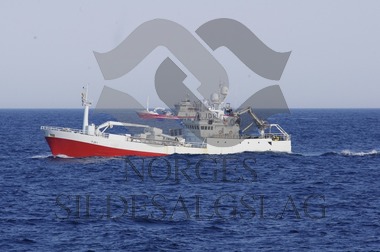 Frantsen Junior Makrell 2017