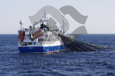 Liafjord kaster makrell  - Makrell 2017