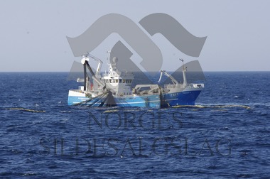 Skagøysund med makrellkast - Makrell 2017