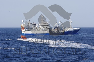 Liafjord - Makrell 2017