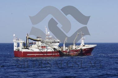 X Trønderbas med makrellkast - Makrell 2017