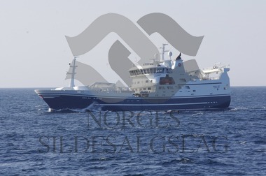 Kings Bay Makrell 2017