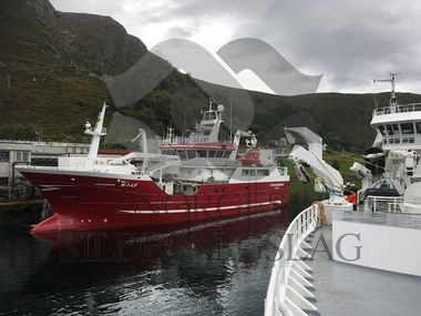 X Straumberg losser makrell 2017