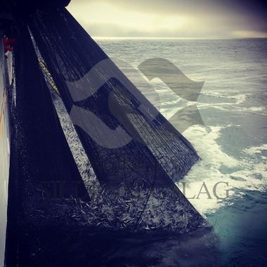 X Rogne med makrellkast 2017