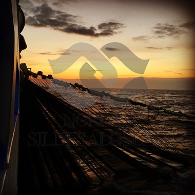 X Rogne med makrellkast 2017