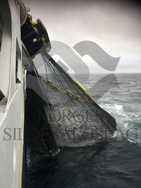 X Rogne med makrellkast 2017