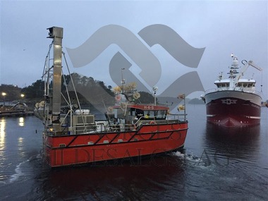 Staaløy og dorger ved Pelagia Austevoll