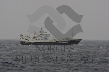 Vendla tråler - Nordsjøsilda november 2017