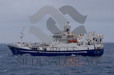Østerbris tråler - Nordsjøsilda november 2017