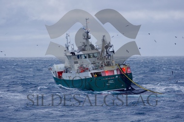 Genesis-kaster - Nordsjøsilda november 2017