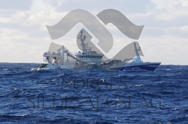 Islandslodda 2018 - X Havsnurp kaster