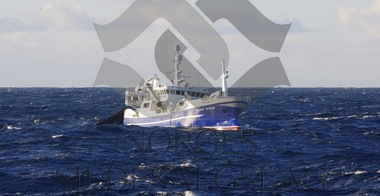 Islandslodda 2018 - X Havsnurp kaster