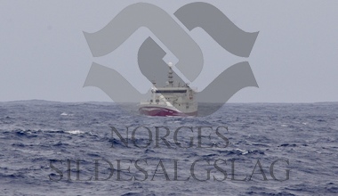 Diverse lodde og kolmule Borgarin