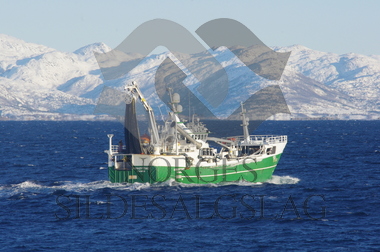 Arnøytind med loddekast Barentshavet 2018