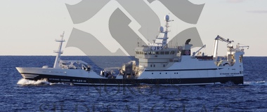 Diverse lodde og kolmule Strand Senior