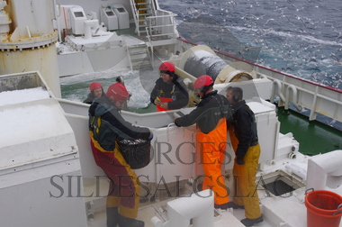 Arbeid på dekk på Storeknut, loddefiske Barentshavet 2018