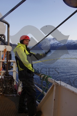 Diverse fra vaskekast Storeknut