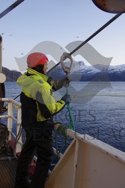 Diverse fra vaskekast Storeknut