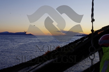 Diverse fra vaskekast Storeknut