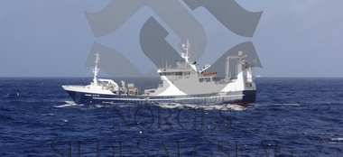 Sæbjørn tråler kolmule 2018