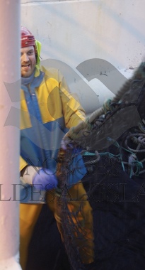 Haler not på Storeknut