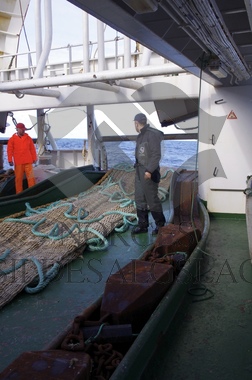 Kolmuletråling fra Storeknut