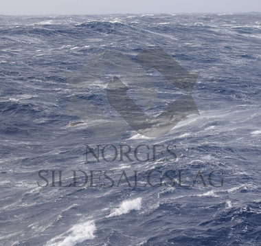 Storm, hav og bølger