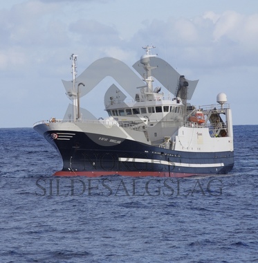 Kolmulefiske X Birkeland