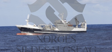 Kolmulefiske X Birkeland