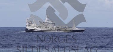 Kolmulefiske Christina E