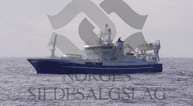 Kolmulefiske Trøndur i Gøtu