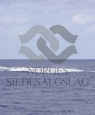 Kolmulefiske 750 tonn i sekken