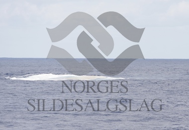 Kolmulefiske kolmuletrål