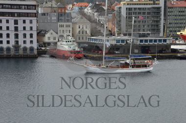 Vega - Strandrydding Hold Norge Rent