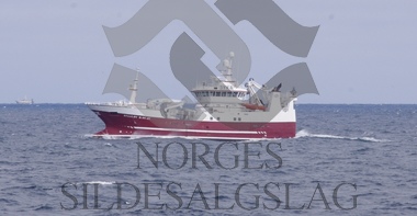 Nordsjøsild 2018 Staaløy