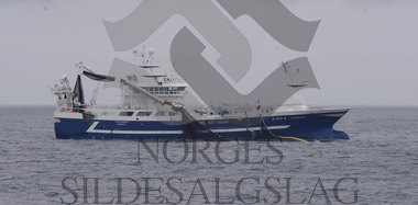 Nordsjøsild