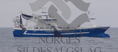 Nordsjøsild 2018, Kvannøy med kast