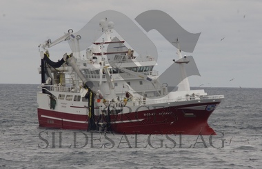 Bilder frå sildefeltet