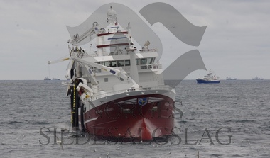 Bilder frå sildefeltet