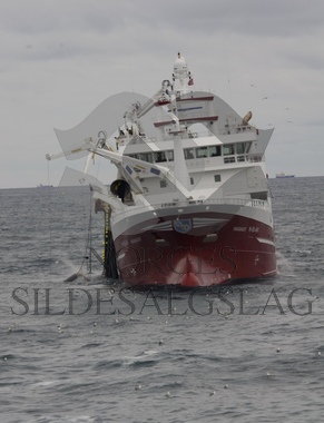 Bilder frå sildefeltet