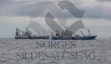 Herøyhav og Leinebjørn med kast Nordsjøsild 2018