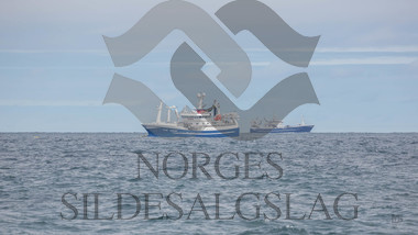 Leinebjørn og Malene S på nordsjøsild 2018