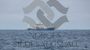 Kings Bay på nordsjøsild 2018