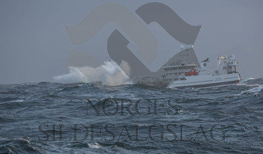 X Rogne på nordsjøsild 2018