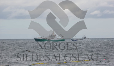 Røttingøy og Stormfuglen på nordsjøsild 2018