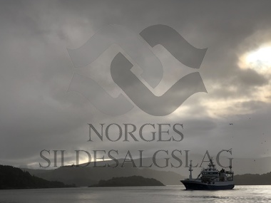 M / S Liafjord på ellingsøyfjorden til lossing hos Nils Sperre. Med makrell