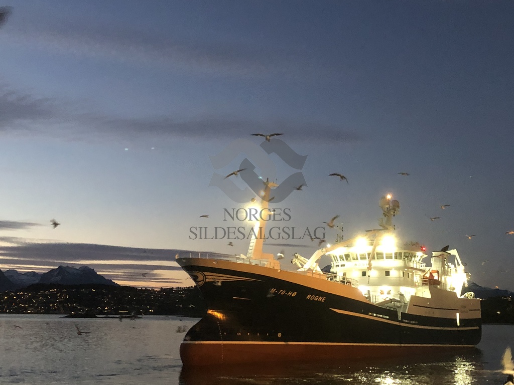 X M/S Rogne som er ferdig med makrell levering hos Nils Sperre A/S 11.10.2018