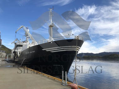 X MS Gerda Marie som losser makrell hos Brødrene Sperre på Ellingsøy 02.10.2018. Sæter