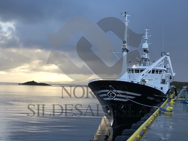 M-S-Elisabeth-På lossing av makrell på Smøla 01.10.2018. 